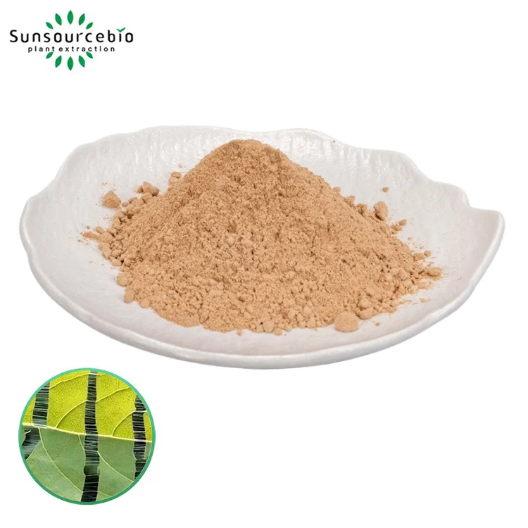 Eucommia Leaf Extract는 어떻게 현대 건강과 건강을 지원합니까?