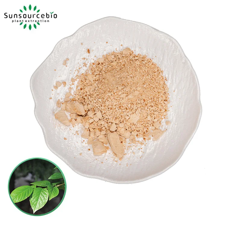 eucommia 추출물 가루